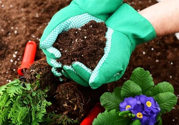 61GU4QNnskL._AC_SX679_