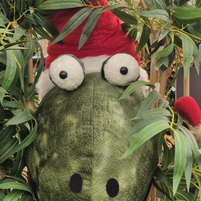 Christmas 6 Christmas 6