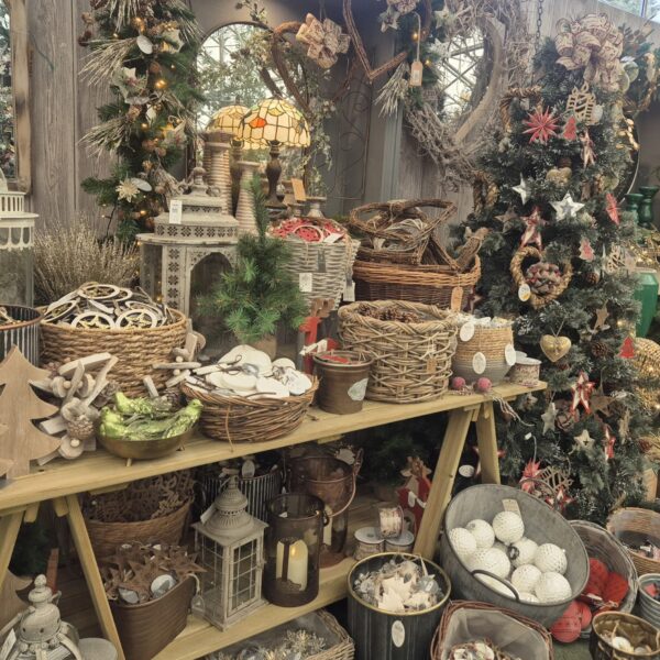 Christmas 7