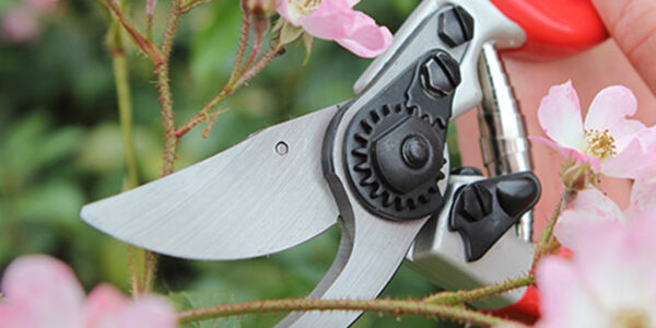 DP1030A-Expert-Bypass-Pruner-slim-profile-handles DP1030A-Expert-Bypass-Pruner-slim-profile-handles