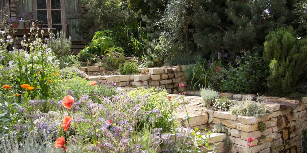 Mediterranea-Garden-(2)17-083116 Mediterranea-Garden-(2)17-083116