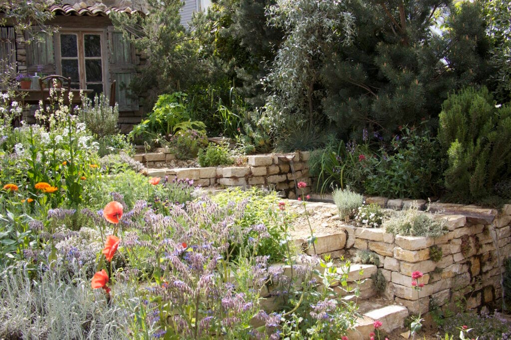 Mediterranea-Garden-(2)17-083116