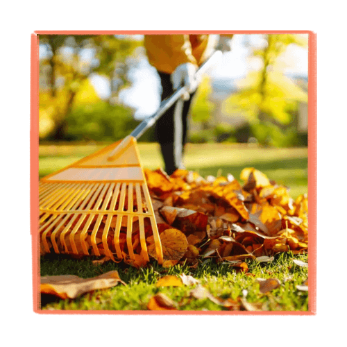 Scarify your lawn Aerate your lawn Apply an autumn lawn feed Clear fallen leaves off your lawn Mow the lawn on a higher setting Trim and re-cut lawn edges 1