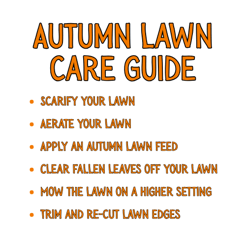 Scarify your lawn Aerate your lawn Apply an autumn lawn feed Clear fallen leaves off your lawn Mow the lawn on a higher setting Trim and re-cut lawn edges