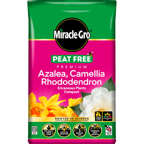 miracle-gro-peat-free-azalea-camellia-rhododendron-compost-40l-121224
